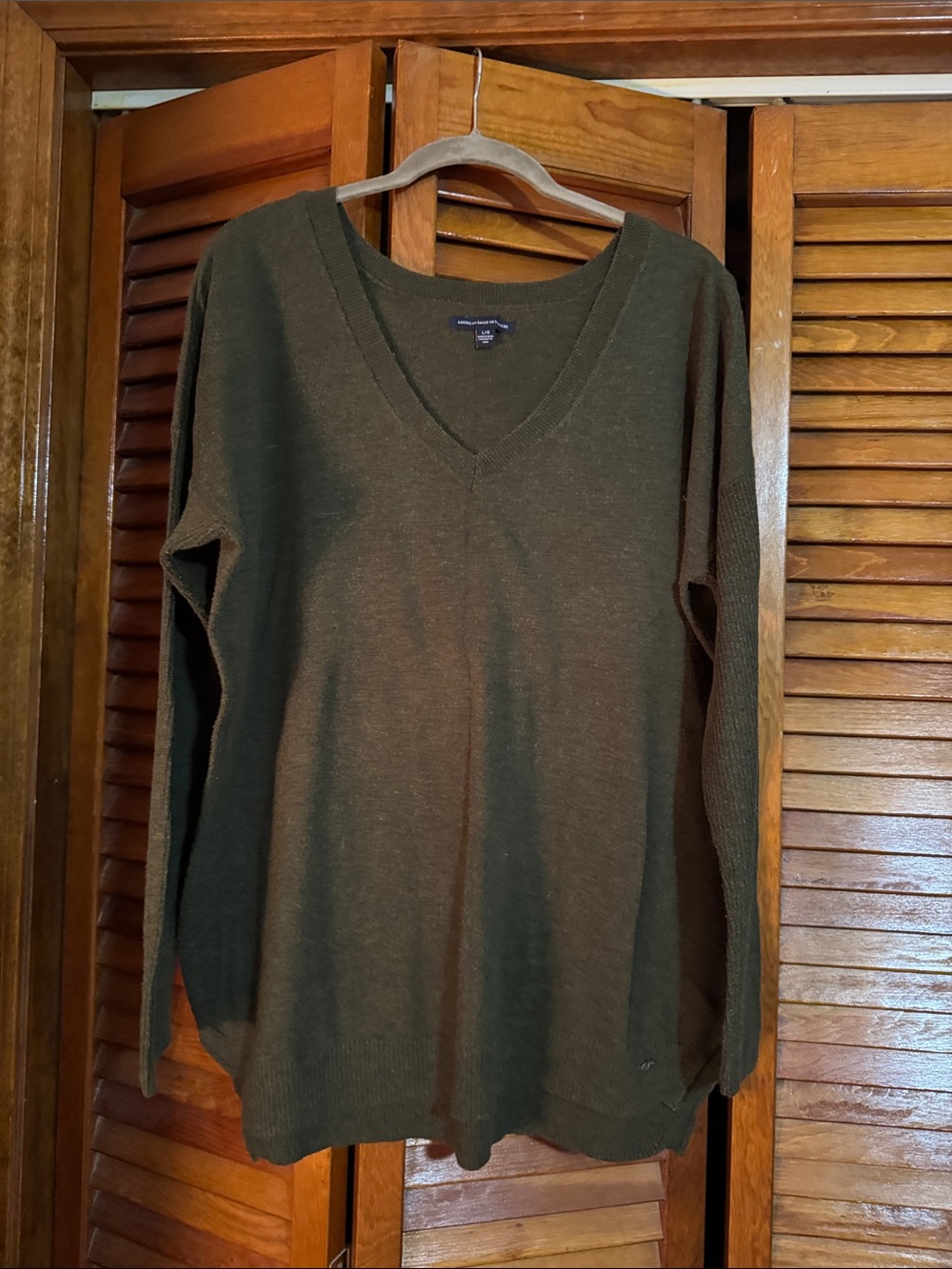 American Eagle Outfitters Olive Green V-Neck Sweater